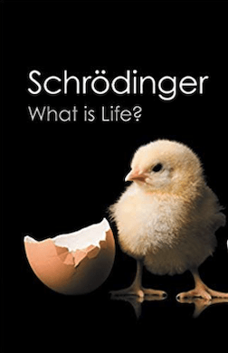 \"Schrodinger: